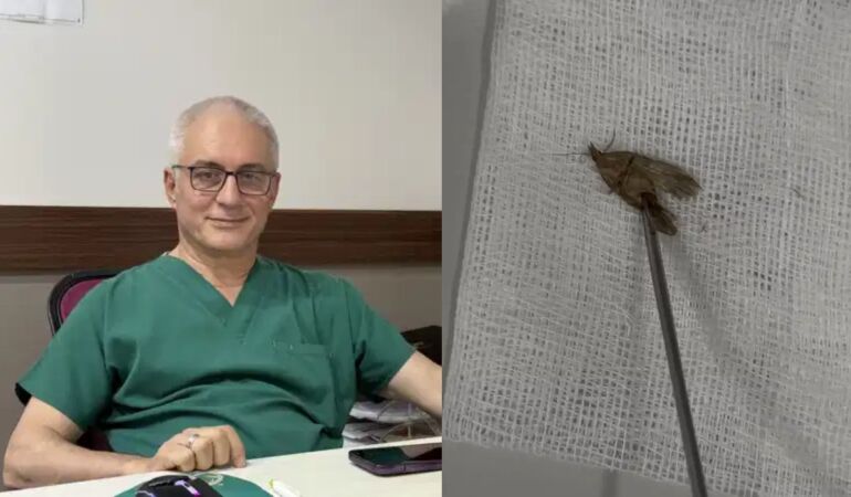 Kulağından ‘kelebek’ çıktı: ‘Hareketliydi, alırken kibar aldım, doğaya bıraktık’