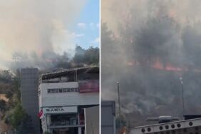 ODTÜ Ormanı'nda yangın!