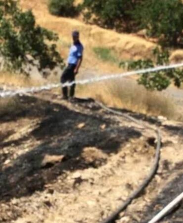Yangın sonrası fıstık tarlasında şüpheli ölüm Soruşturma başlatıldı