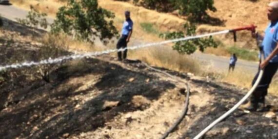 Yangın sonrası fıstık tarlasında şüpheli ölüm: Soruşturma başlatıldı