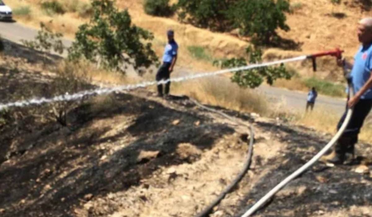 Yangın sonrası fıstık tarlasında şüpheli ölüm Soruşturma başlatıldı