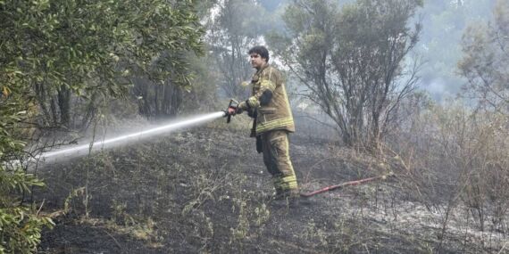Bursa’da korkutan yangın: 4 dönüm alan zarar gördü
