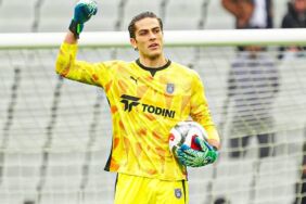 doğan alemdar