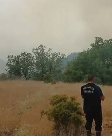 malatya orman yangını