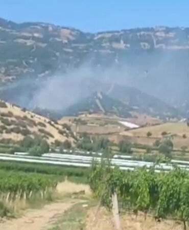 manisa orman yangını