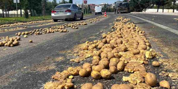 1 ton patates yola saçıldı: Ulaşım aksadı, sürücüye ceza kesildi