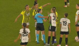 Fenerbahçe arsaVev
