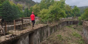 Giresun sel
