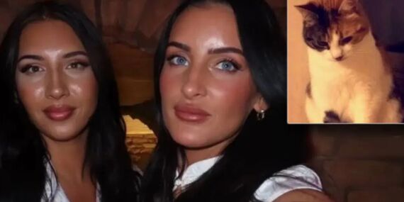 10 yıl önce kaybolan kedi, sahibinin 30. yaş gününde evine döndü