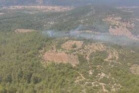 Muğla orman yangını
