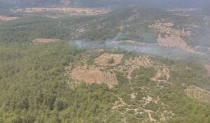Muğla orman yangını