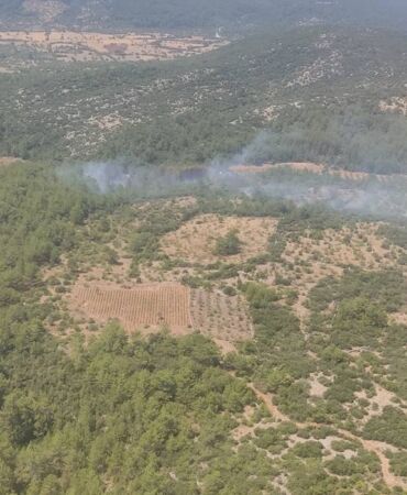 Muğla orman yangını