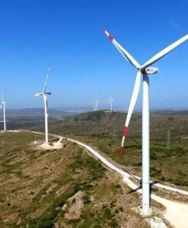 Sabancı’nın RES projesi için acele kamulaştırma Latmos’ta 7 bin 827 ağaç risk altında