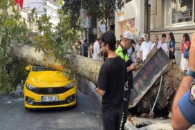 Şişli’de korku dolu anlar Ağaç araçların üzerine devrildi
