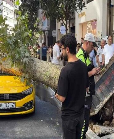 Şişli’de korku dolu anlar Ağaç araçların üzerine devrildi