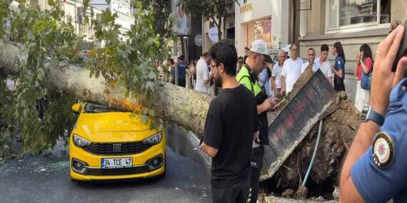 Şişli’de korku dolu anlar: Ağaç araçların üzerine devrildi