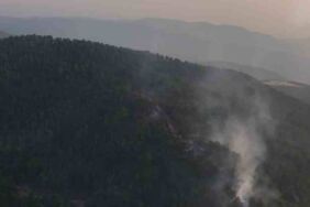 bolu orman yangını