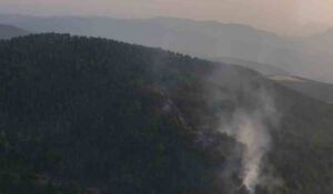 bolu orman yangını