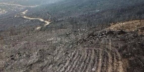 Uzmandan dikkat çeken ‘El Nino’ uyarısı: Önümüzdeki 10 yıl kritik