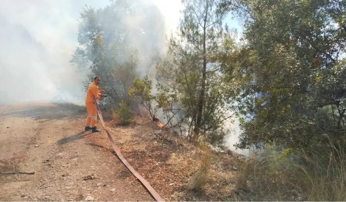 bursa orman yangını